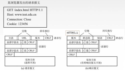 計算機網(wǎng)絡(luò)開發(fā)與服務(wù)的心臟 應(yīng)用層深度解析