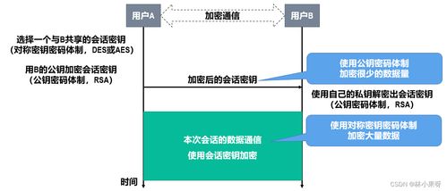 計算機網(wǎng)絡(luò)開發(fā)與服務(wù)中的網(wǎng)絡(luò)安全 守護數(shù)字世界的基石